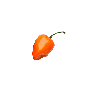 Chile habanero naranja