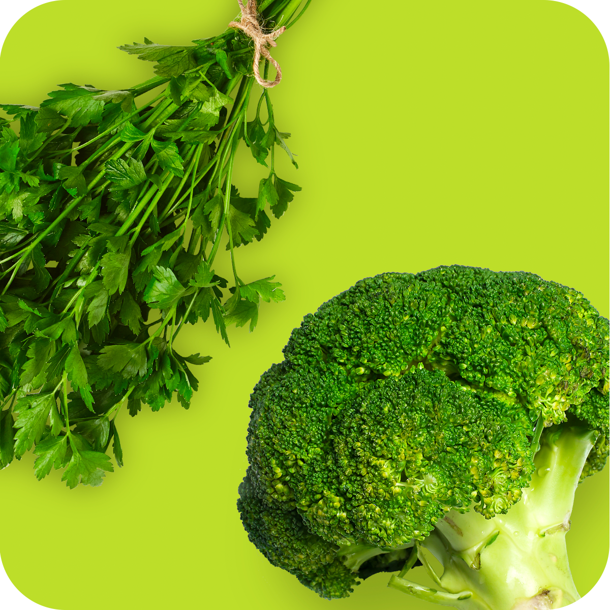 Verduras y hierbas frescas