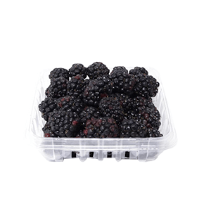 Zarzamoras caja 170g