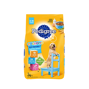 Alimento seco para perro cachorro Pedigree 2kg